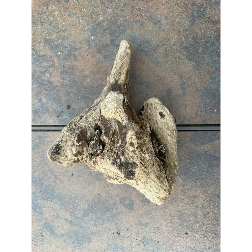 Natural Driftwood for Plants Terrarium Taxidermy Art Projects
